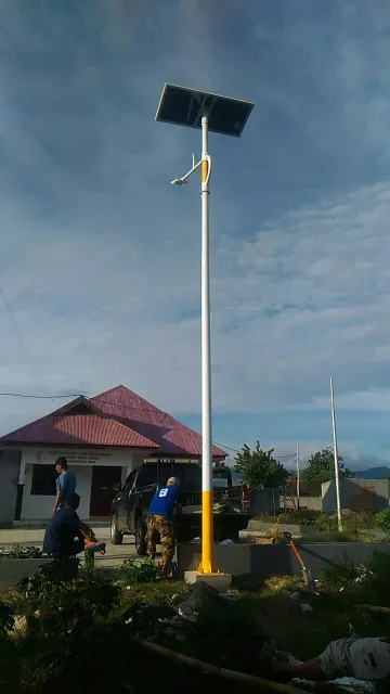 Palu (4)