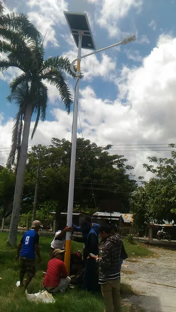 Palu (5)